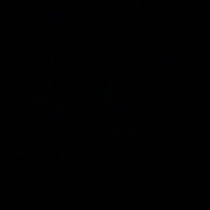 Meet your Posher, Andre